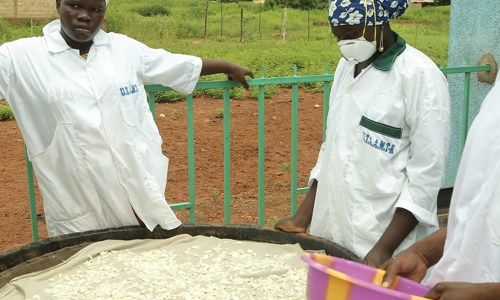 Pacepep Mali 1